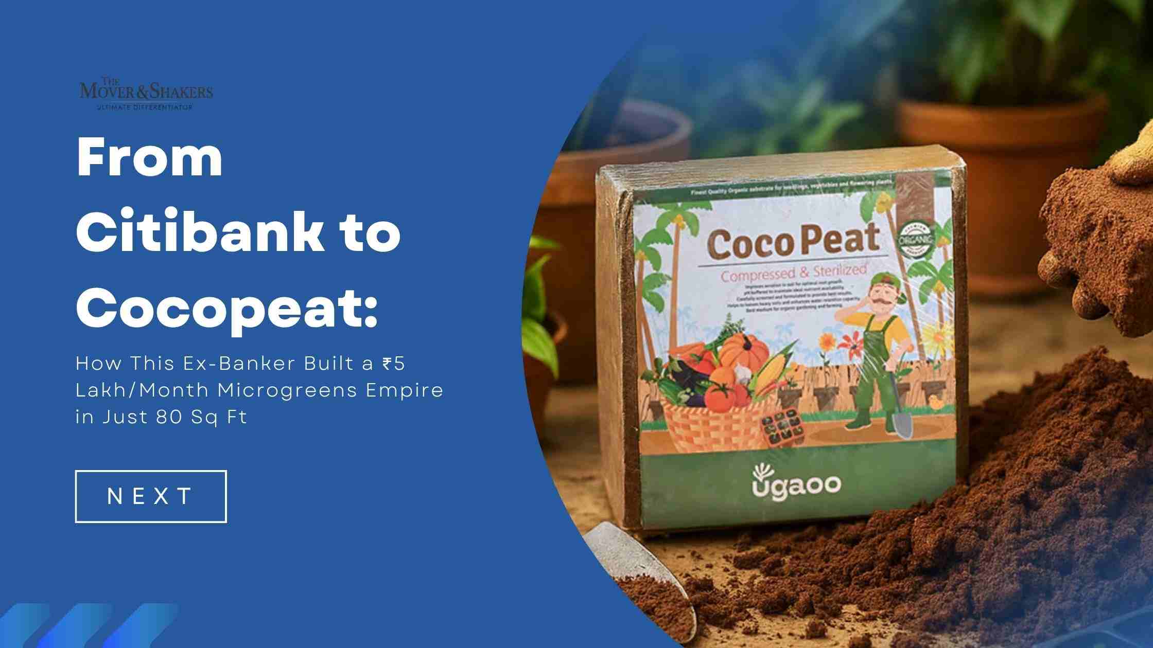 From Citibank to Cocopeat: How This Ex-Banker Built a ₹5 Lakh/Month Microgreens Empire in Just 80 Sq Ft